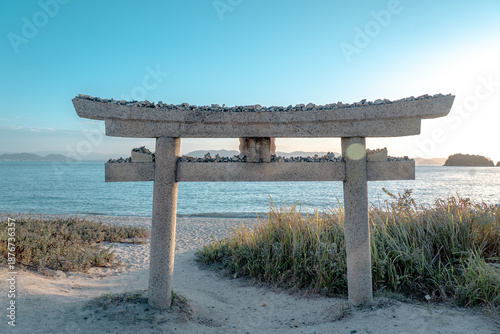 Japan,pumpkin,Seto Inland Sea,Naoshima,cat