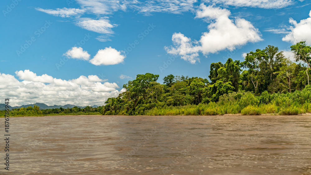custom made wallpaper toronto digitalHeavy rain over the Amazon River and forest, with a small boat navigating the water amidst the storm