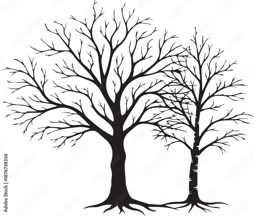 Obraz premium Two bare trees silhouette against white background