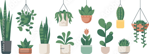 Modern indoor houseplant collection vector illustration featuring hanging planters, succulents, cactus and leafy potted plants isolated on white background for home decor, interior design