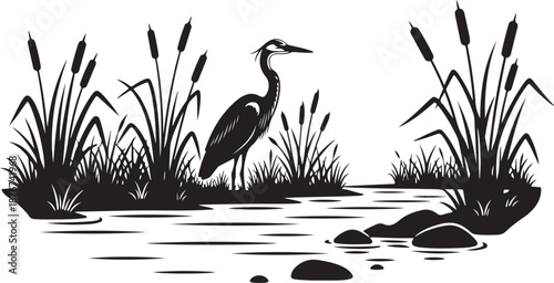 Black and White Heron Standing in Water with Cattails
