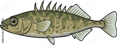 Fotografía Ten-Spined Stickleback Fish Swimming Side View - Animal Character Illustration I