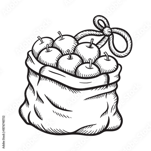 A sketch of apples in a sack tied with a ribbon