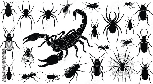 Insects and arachnids silhouettes set including spider scorpion beetle ant fly black vector illustration isolated