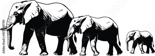 Elephant family illustration showing adult and baby elephants walking together wildlife strength nature black white vector art