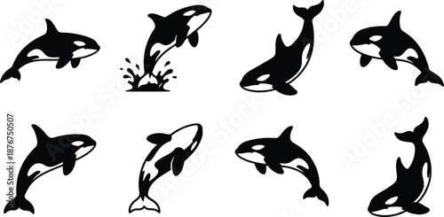 Orca icon set, black and white illustrations, killer whale poses, aquatic theme, marine vector graphics, ocean wildlife design