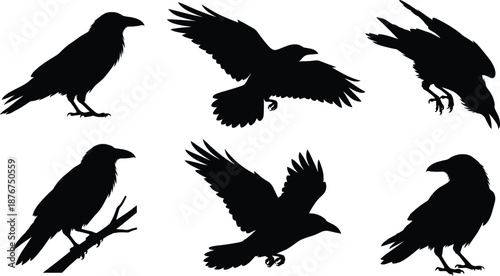 Raven icon set, black silhouette illustrations, bird poses and flight gestures, nature theme, vector graphics, wildlife design