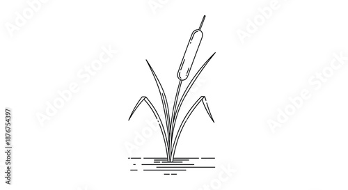 A single cattail plant growing in water, depicted in a clean and simple black and white line art style with a distressed or grunge texture effect.