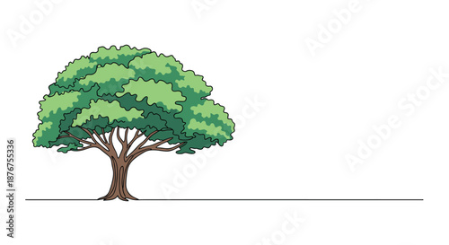 Minimalist illustration of a single large tree with a full green canopy and a brown trunk, drawn with a continuous ground line.