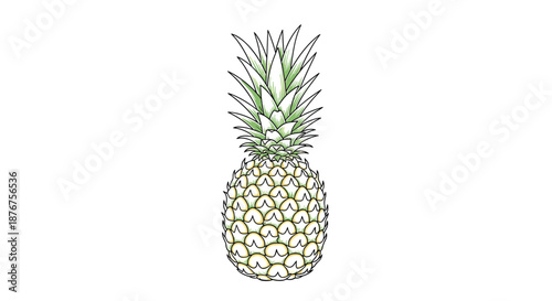 Fresh whole pineapple with sharp green leaves and a textured yellow skin standing upright against a clean white background.