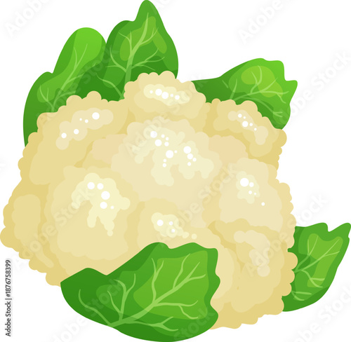 Cauliflower head with green leaves on white