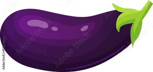 Purple healthy eggplant showing fresh organic vegetable food
