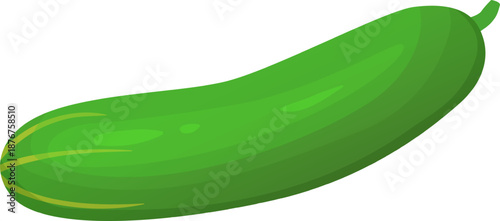 Fresh green healthy cucumber vegetable illustrating organic food