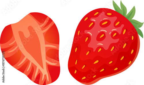 Fresh whole and sliced strawberry fruit vector illustration