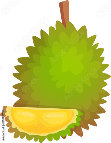 Tropical durian fruit showing its creamy yellow pulp