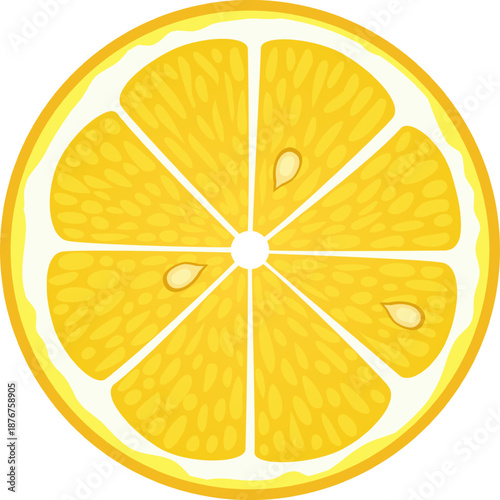 Lemon slice showing fresh juicy citrus fruit segments