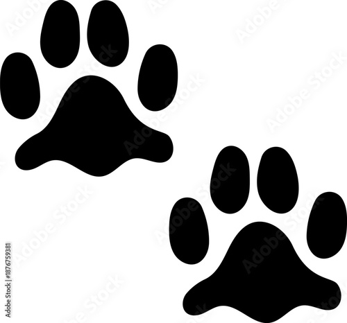 Animal paw prints walking on white background
