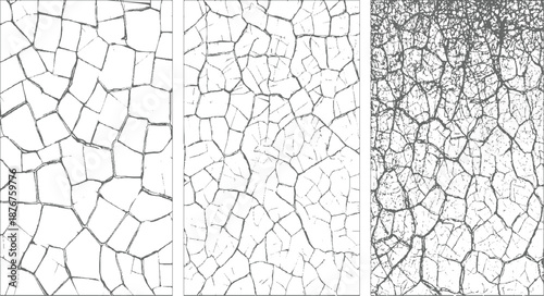 Close-up view of a dry cracked earth surface with irregular polygonal shapes and fine fissures creating a detailed natural texture in shades of gray and white