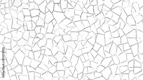 Dry cracked earth texture with a dense network of fine fissures and irregular polygonal patterns in grayscale