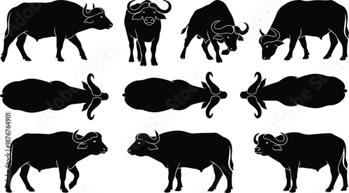 Buffalo silhouettes, visual puzzle, posture grid, animal orientation, mirrored shapes, wildlife study, gray background, cognitive test, symmetry, motion