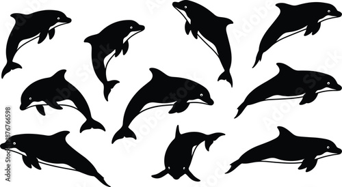 Dolphin silhouettes, swimming, jumping, marine life, ocean animals, graceful motion, nature illustration, gray background, aquatic behavior, playful poses