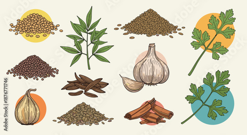 Artistic collection of hand drawn spices and herbs featuring garlic, cumin seeds, coriander leaves, and cinnamon sticks.