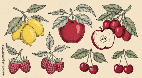 Beautiful collection of hand drawn fruit branches featuring lemons, apples, raspberries, and cherries with detailed leaves.