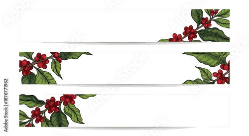Three horizontal banners decorated with hand drawn coffee branches bearing red berries and green leaves on white.