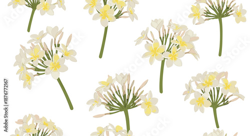 Tropical paradise seamless pattern featuring elegant white plumeria flowers with yellow centers on a clean white background for summer.