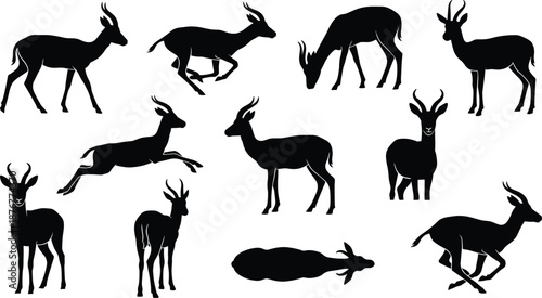 Antelope silhouette bundle displaying walking running grazing jumping standing resting poses wild savanna wildlife animal vector illustration isolated background