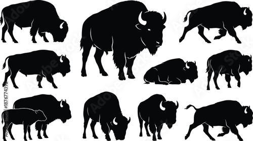 American bison silhouettes, wildlife poses, grazing, running, standing, lying down, nature illustration, animal shapes, gray background, herd movement