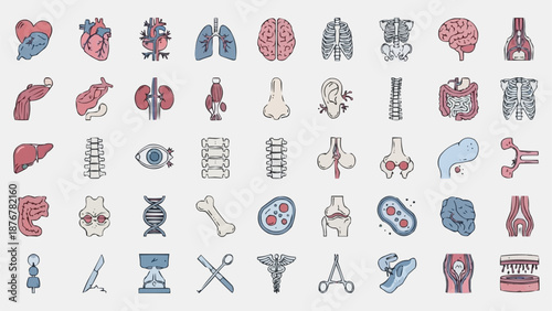 Collection of Human Anatomy Icons Medical Science Symbols.
