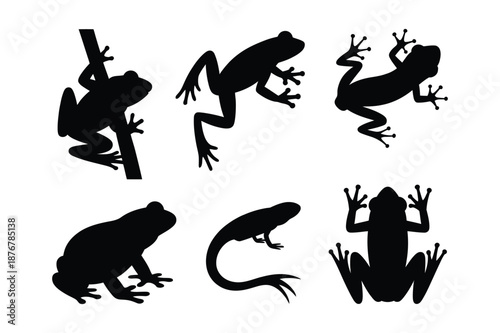 Amphibian Frog and Toad Silhouettes in Various Poses Collection