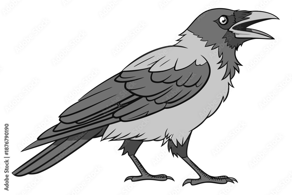 Fototapeta premium crow on a white background