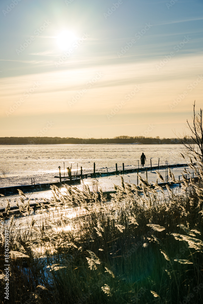 Fototapeta premium Frozen Harbor in Golden Backlight with Woman on Pier and Golden Reeds near Greifswald