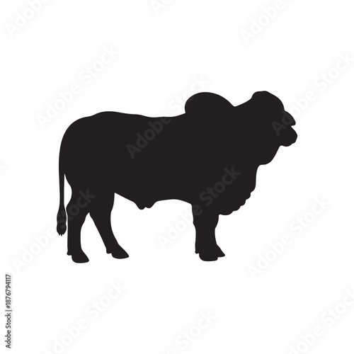 Brahman Bull silhouette vector art white background