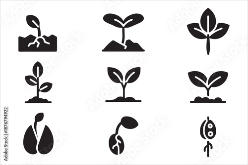 Vector black filled icons germination period wild plants icon