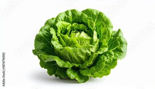 Fresh green butter lettuce head isolated on a white background. Organic vegetable for a healthy salad or diet. Natural raw food ingredient, whole and vibrant, perfect for culinary concepts.