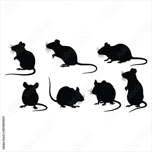 rat group vector silhouette