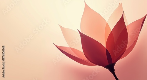 Red flower that is on a pink background