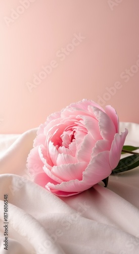 Pink flower that is sitting on a white cloth