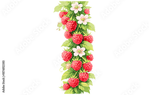 Vibrant raspberry vine with lush leaves and delicate white blossoms