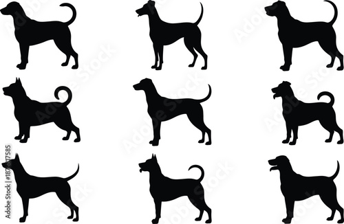 Collection of dog silhouettes on white background