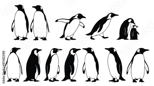 Penguin silhouettes collection, cute Antarctic birds in different poses, black vector illustration set for wildlife, nature, and animal design