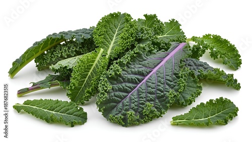 Fresh Green Kale Leaves on White Background