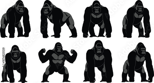 Gorilla silhouettes collection, powerful ape poses, wildlife animal illustration, black vector set, primate character design, isolated on white background