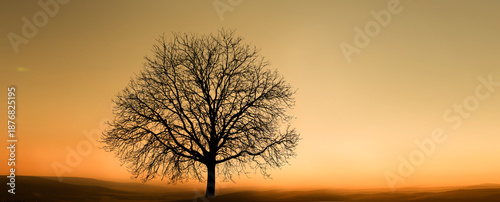 Veränderter Baum im Klimawandel in einer Landschaft
