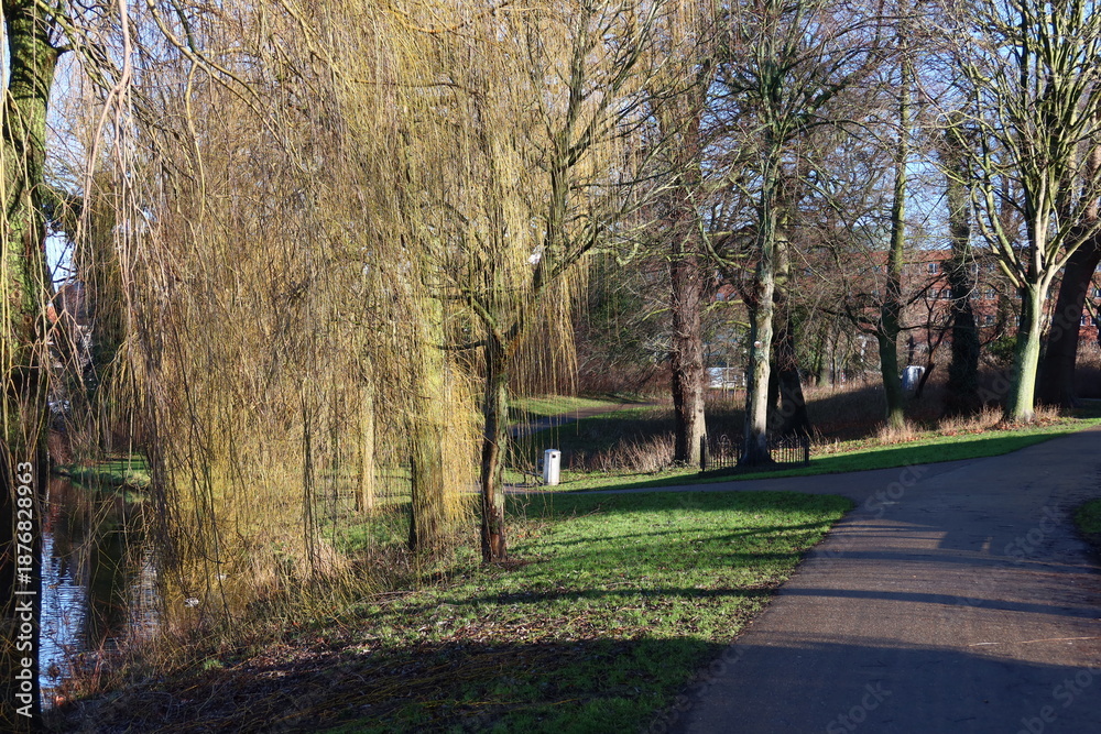 Obraz premium spring in the city park