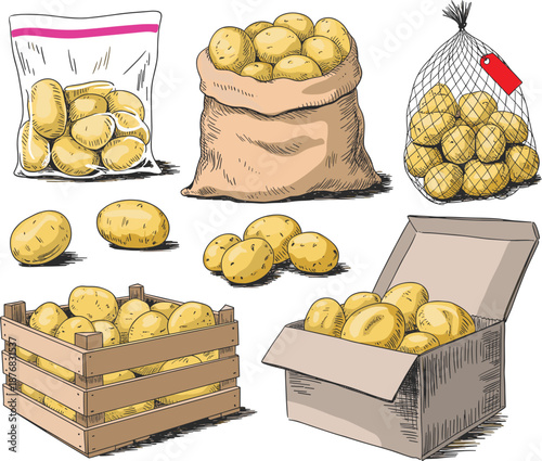 Fresh raw potatoes in sacks, wooden crates and cardboard boxes vector set, for grocery and agriculture