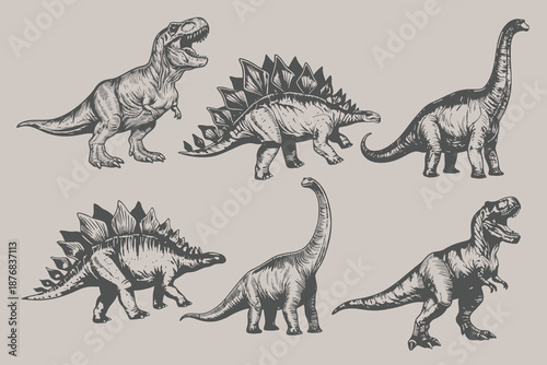 Vintage Dinosaur set collection vector illustration. Dino collection, isolated on white background. print design elements. Eps 10
